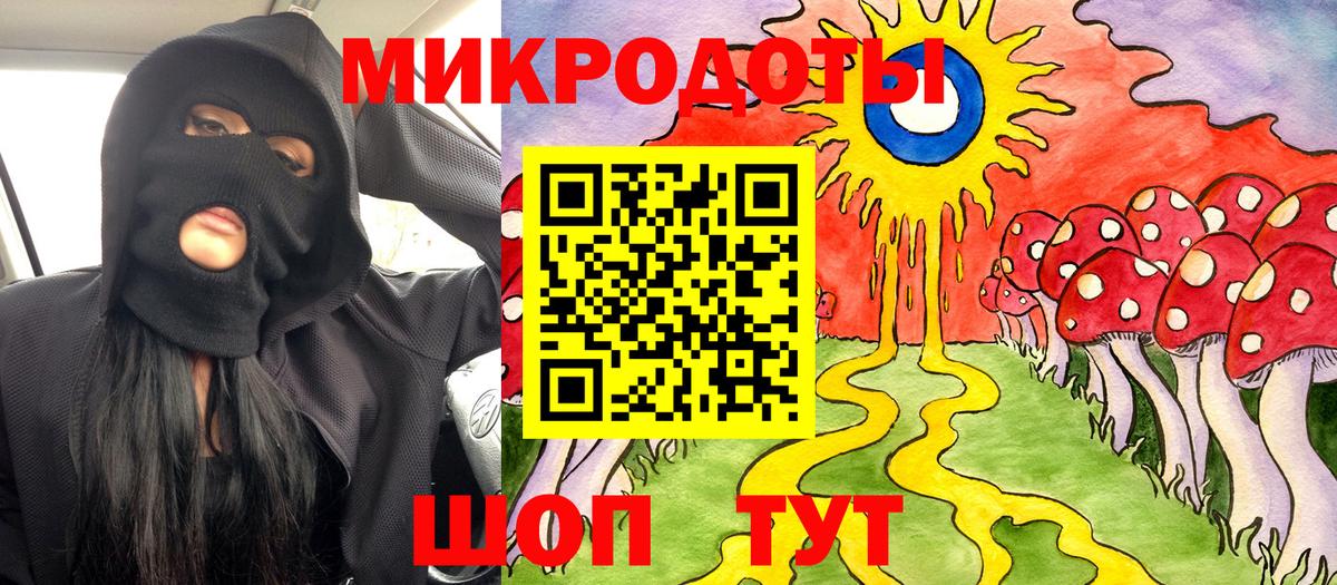 Псилоцибиновые грибы Psilocybe  Вход с VPN  Ярославль 