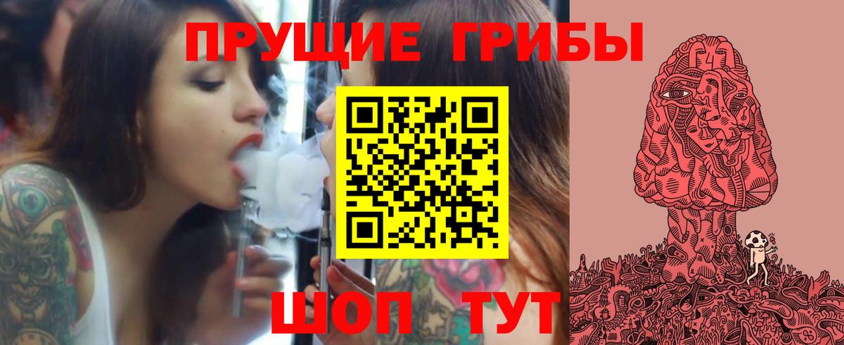Псилоцибиновые грибы Psilocybe Ярославль